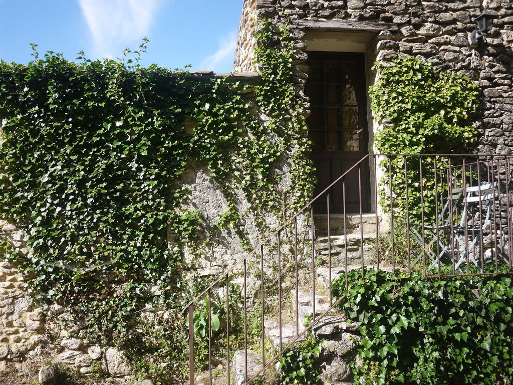 Auberge Des Seguins Buoux Номер фото